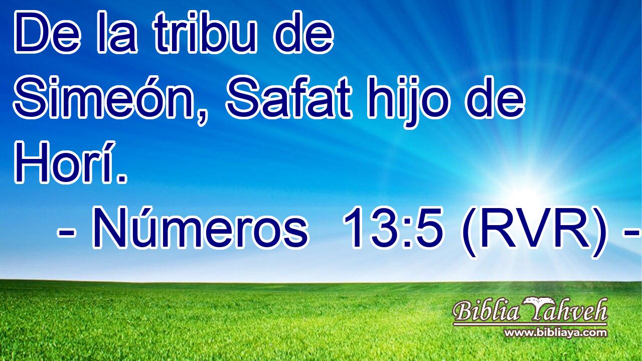 De la tribu de Simeón, Safat hijo de Horí.