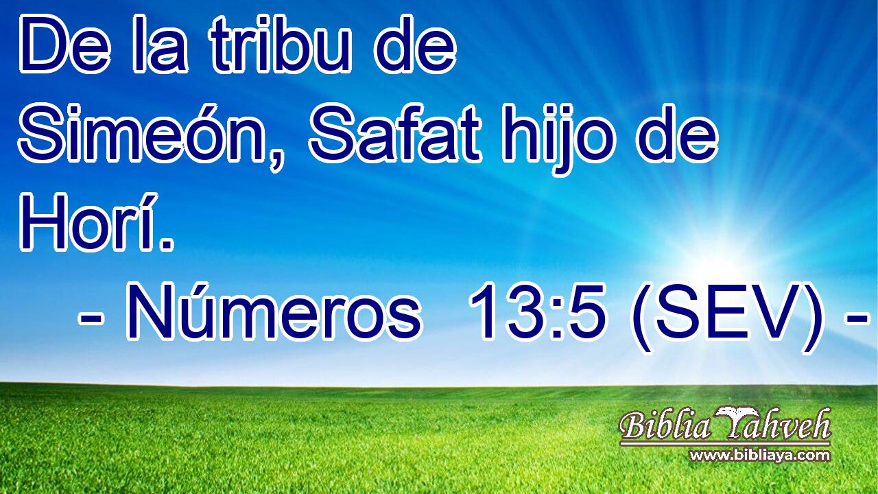 De la tribu de Simeón, Safat hijo de Horí.