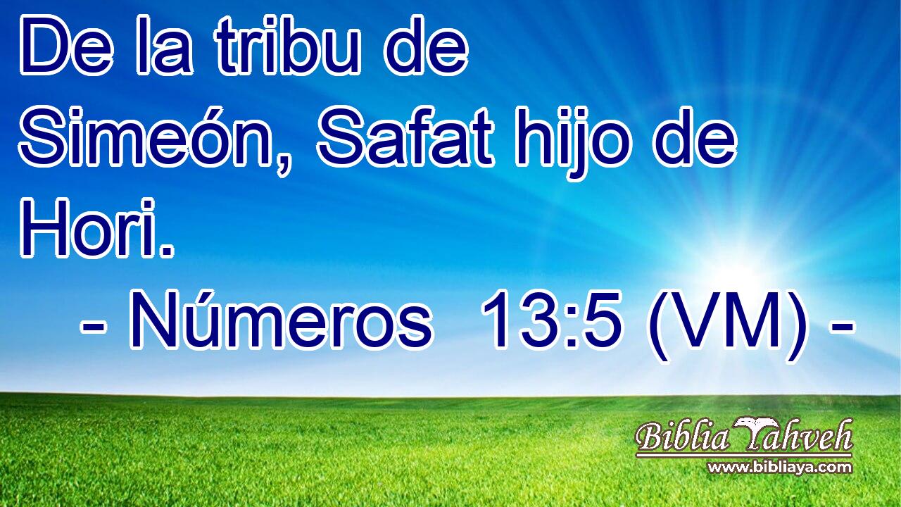 De la tribu de Simeón, Safat hijo de Hori. 