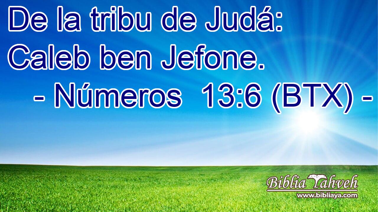 De la tribu de Judá: Caleb ben Jefone.