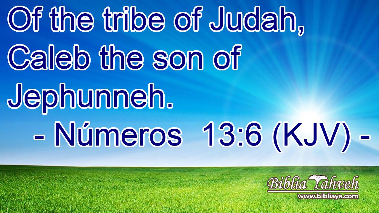 Of the tribe of Judah, Caleb the son of Jephunneh.