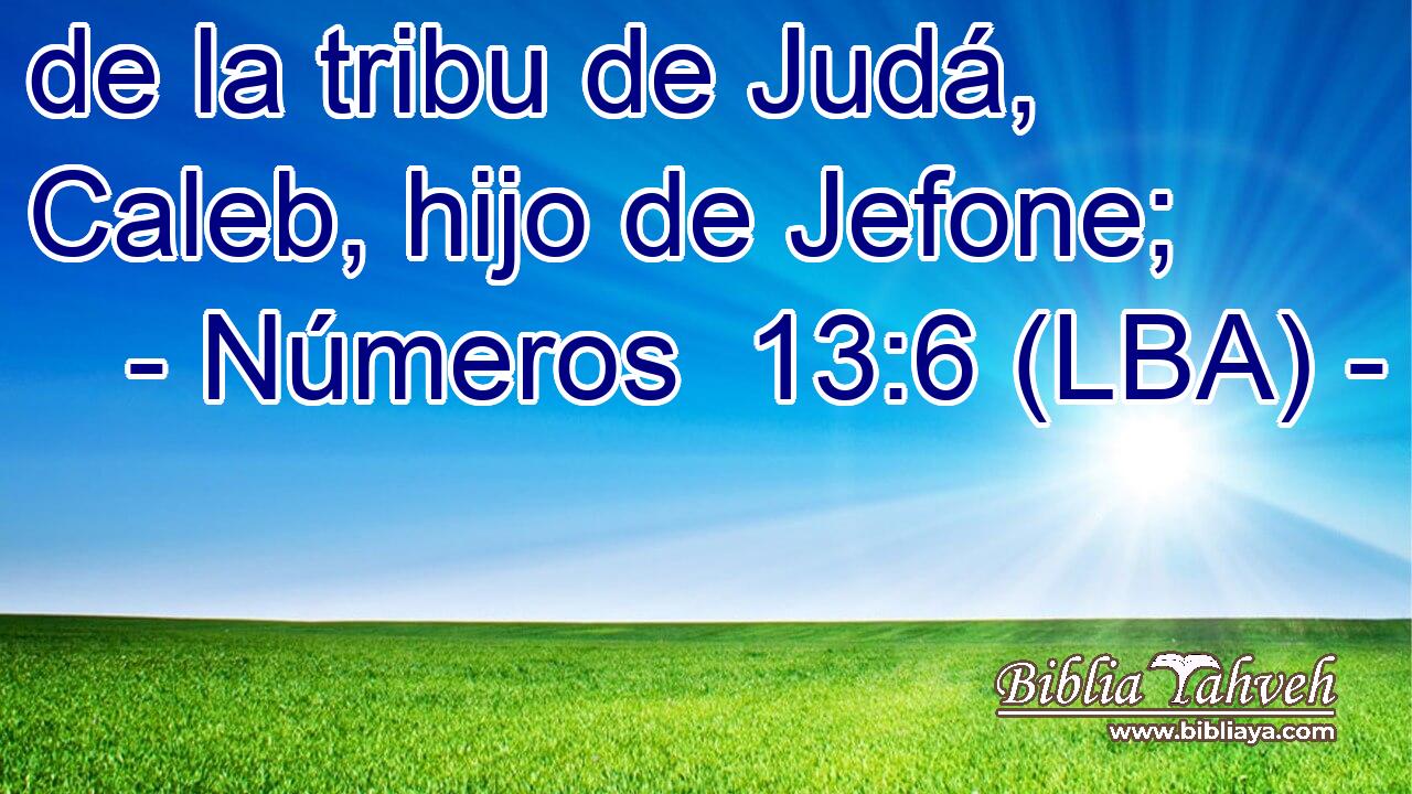 de la tribu de Judá, Caleb, hijo de Jefone;