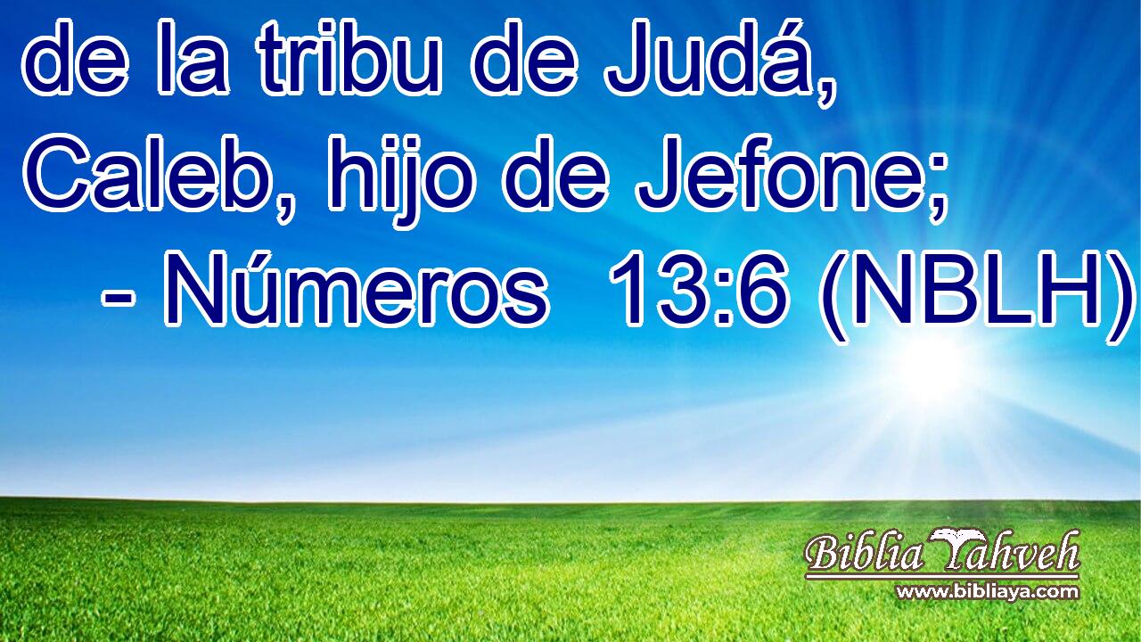  de la tribu de Judá, Caleb, hijo de Jefone; 