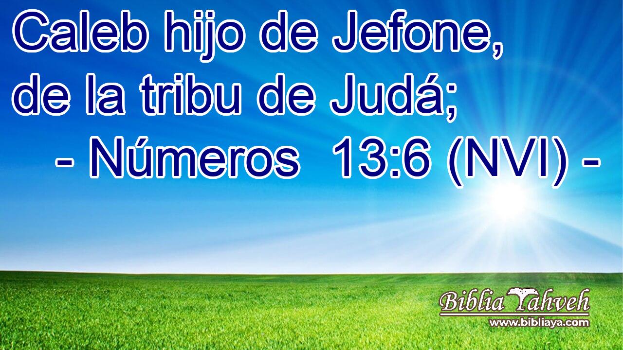  Caleb hijo de Jefone, de la tribu de Judá; 