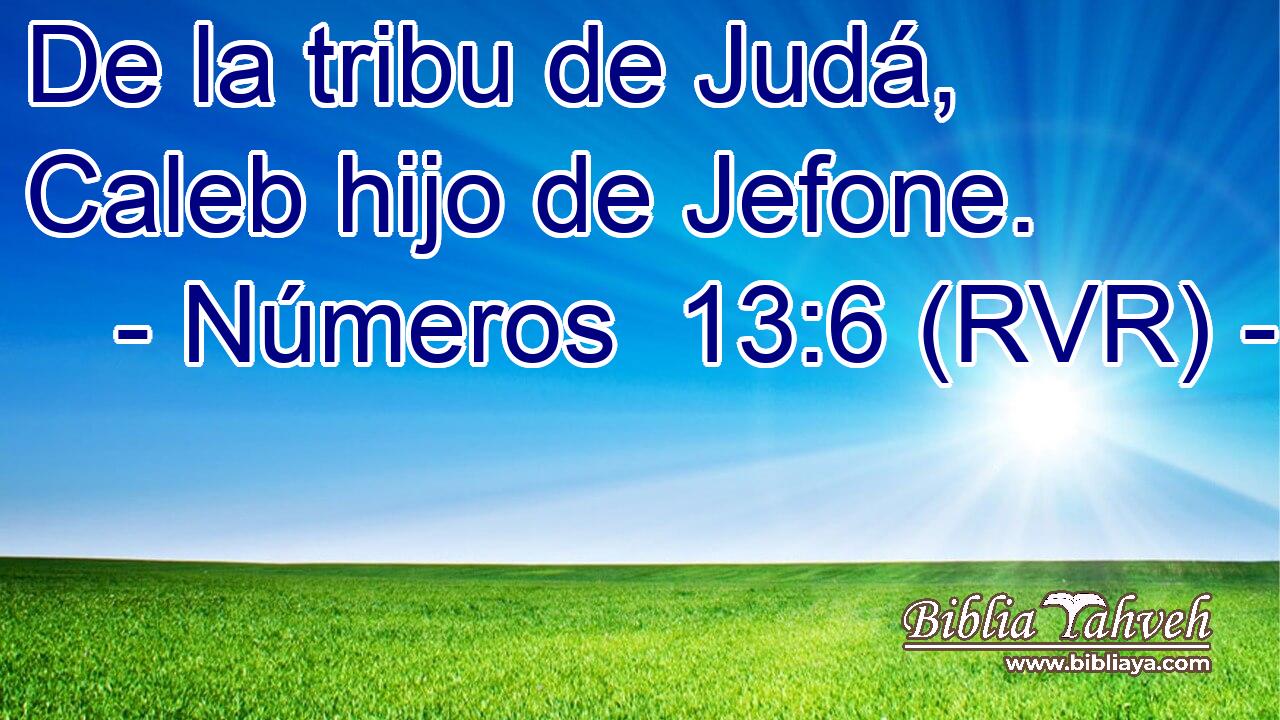 De la tribu de Judá, Caleb hijo de Jefone.