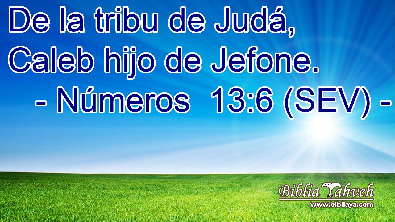 De la tribu de Judá, Caleb hijo de Jefone.