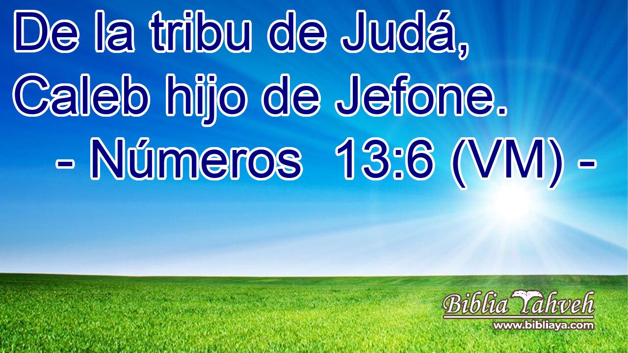  De la tribu de Judá, Caleb hijo de Jefone. 
