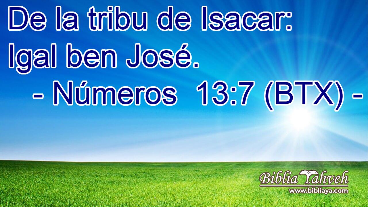 De la tribu de Isacar: Igal ben José.