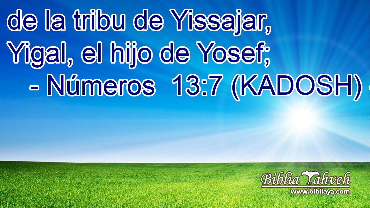  de la tribu de Yissajar, Yigal, el hijo de Yosef; 