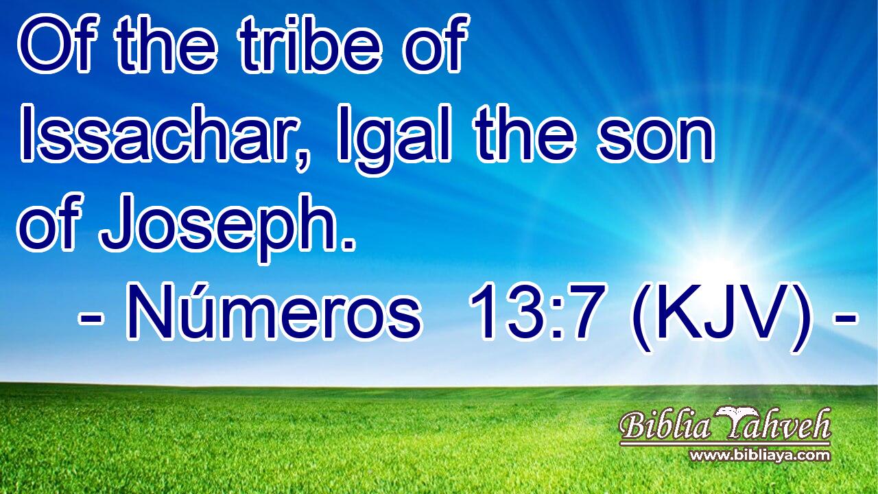 Of the tribe of Issachar, Igal the son of Joseph.