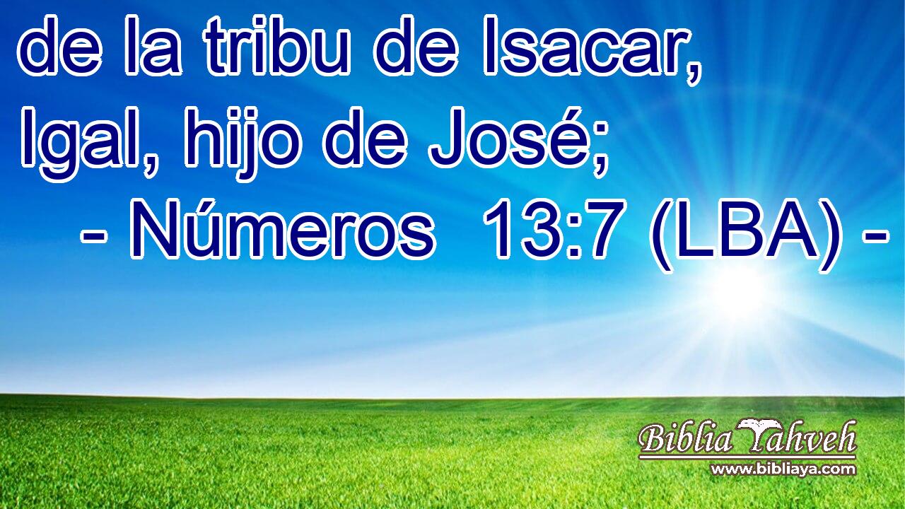 de la tribu de Isacar, Igal, hijo de José;
