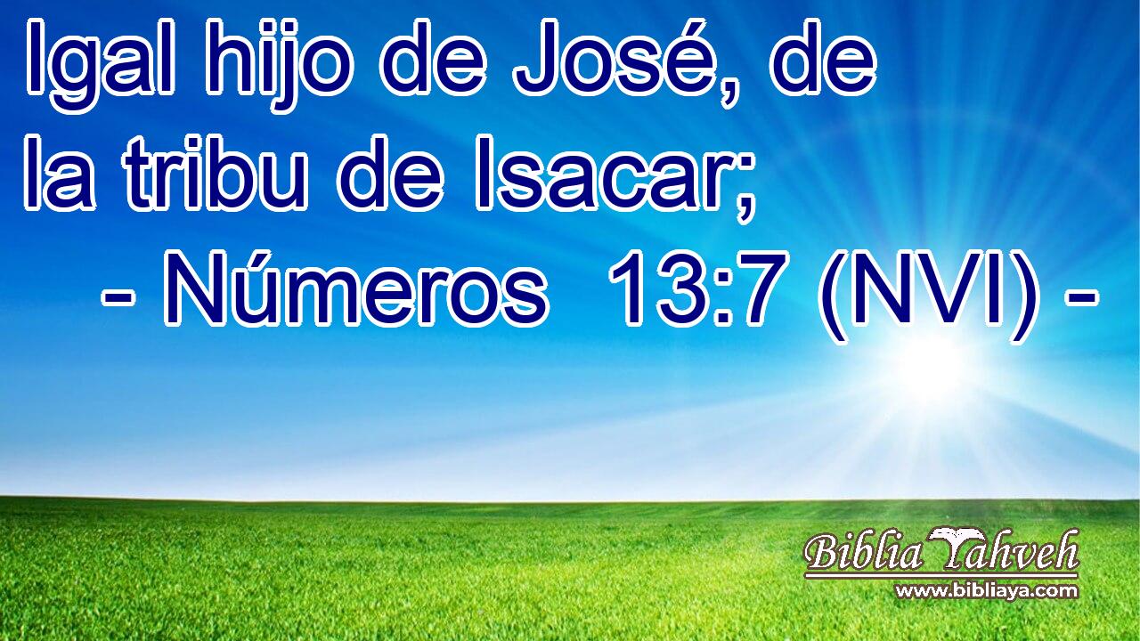  Igal hijo de José, de la tribu de Isacar; 