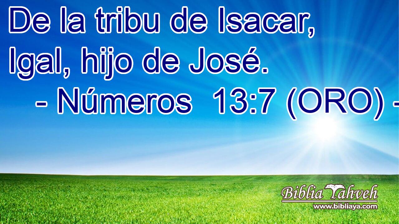  De la tribu de Isacar, Igal, hijo de José. 