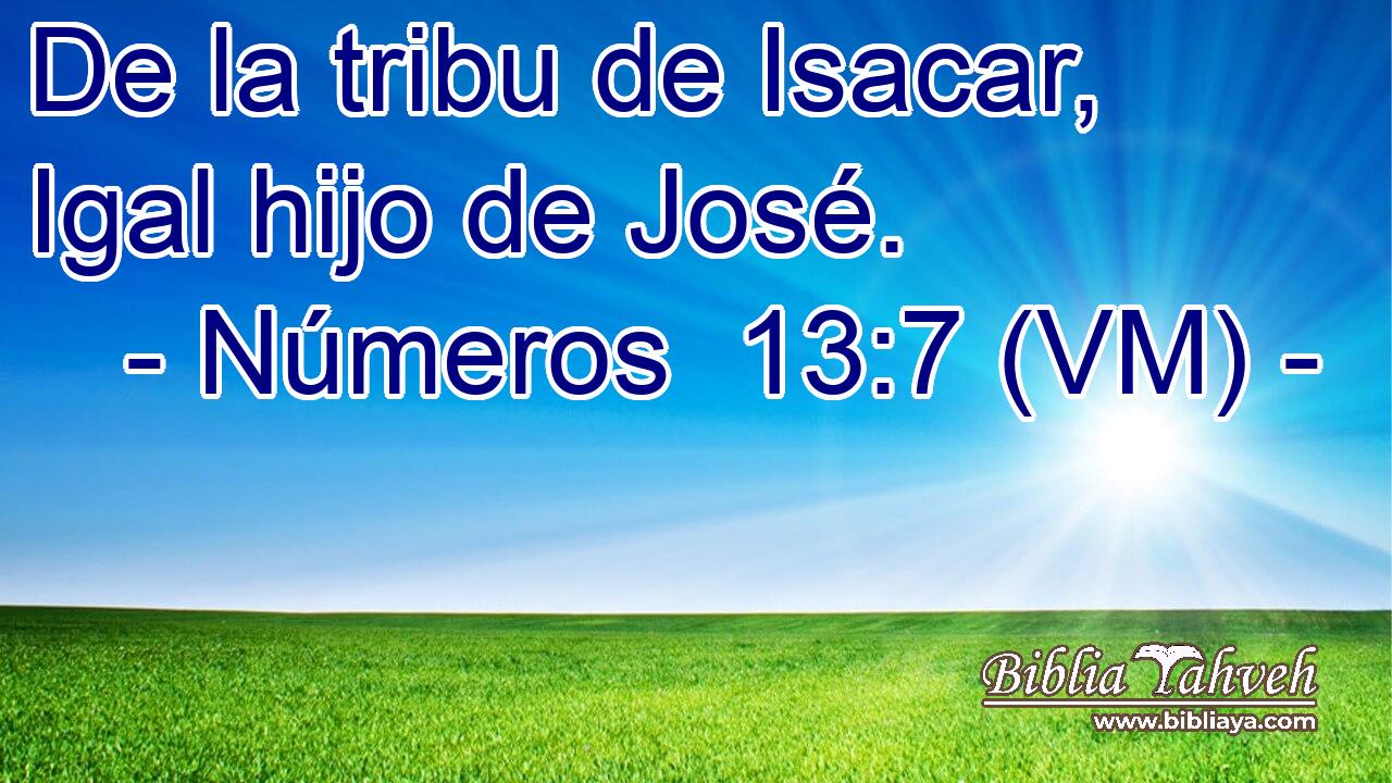  De la tribu de Isacar, Igal hijo de José. 