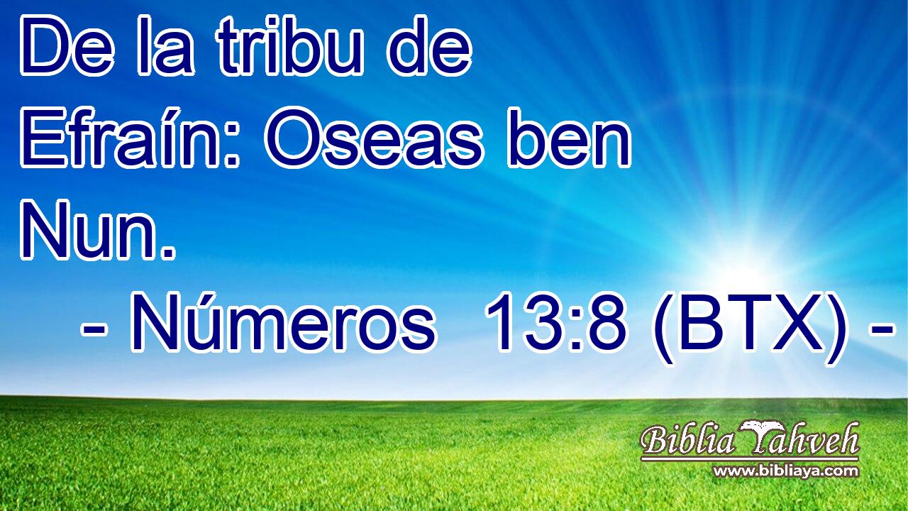 De la tribu de Efraín: Oseas ben Nun.