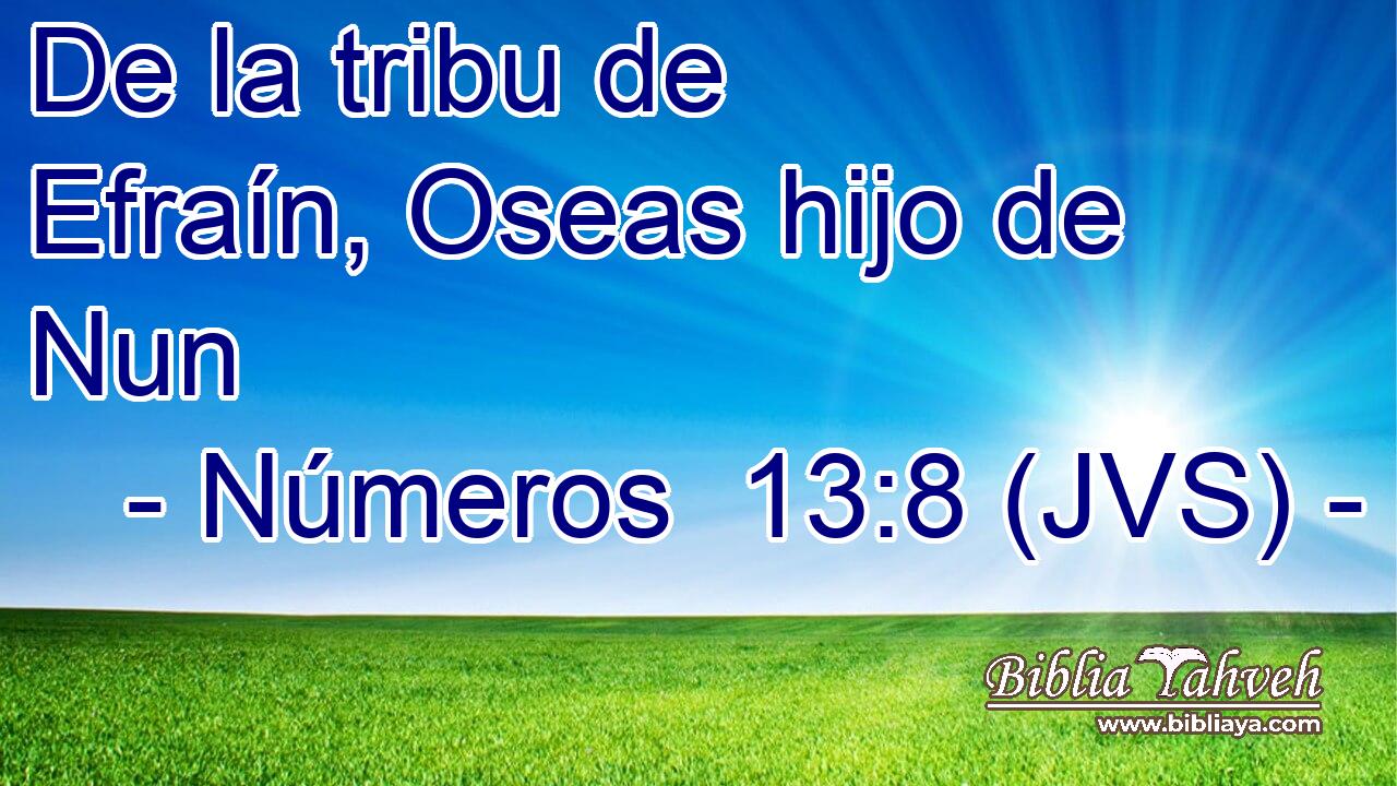 De la tribu de Efraín, Oseas hijo de Nun