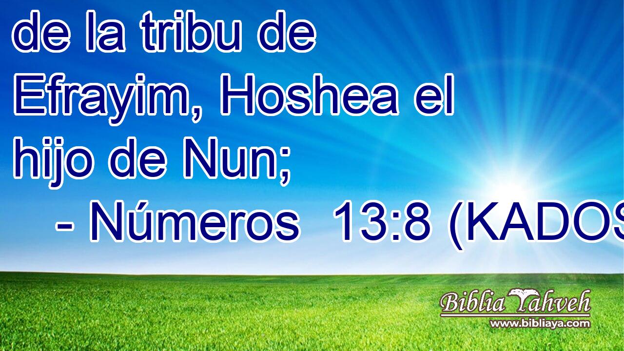  de la tribu de Efrayim, Hoshea el hijo de Nun; 