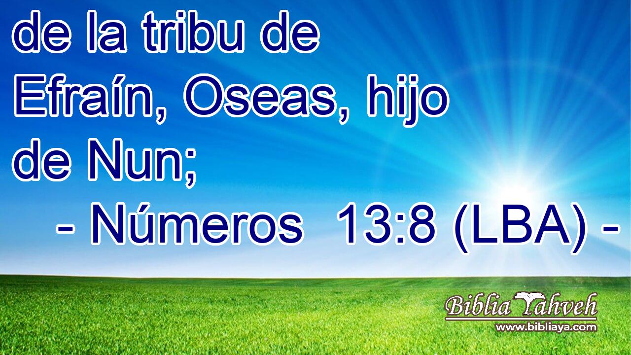 de la tribu de Efraín, Oseas, hijo de Nun;