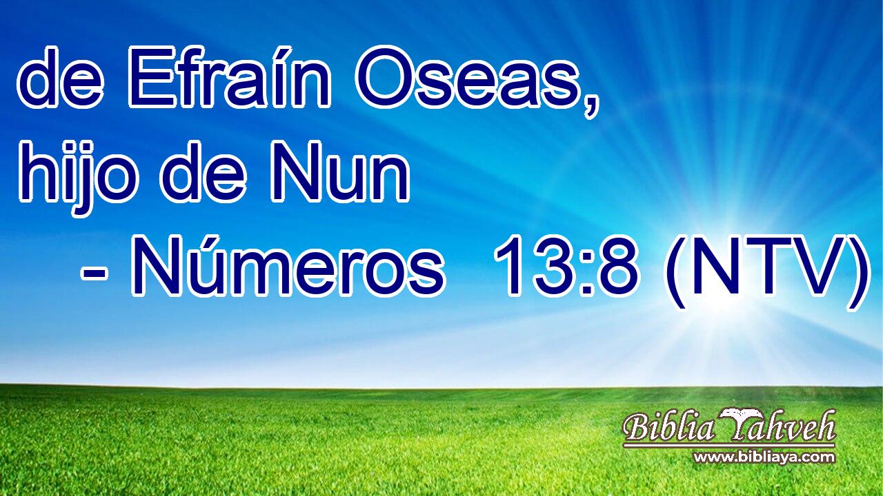 de Efraín Oseas, hijo de Nun