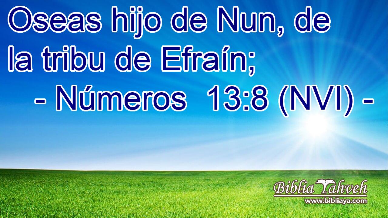  Oseas hijo de Nun, de la tribu de Efraín; 