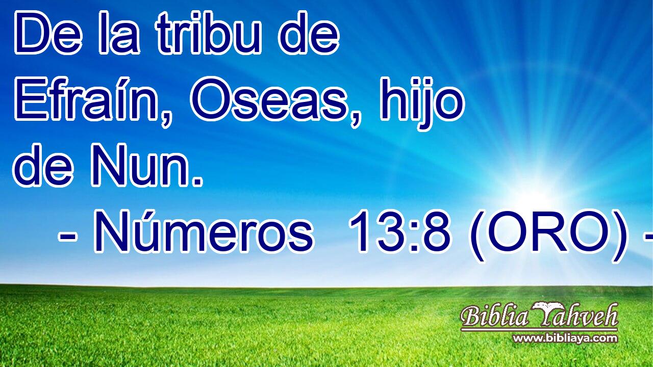  De la tribu de Efraín, Oseas, hijo de Nun. 