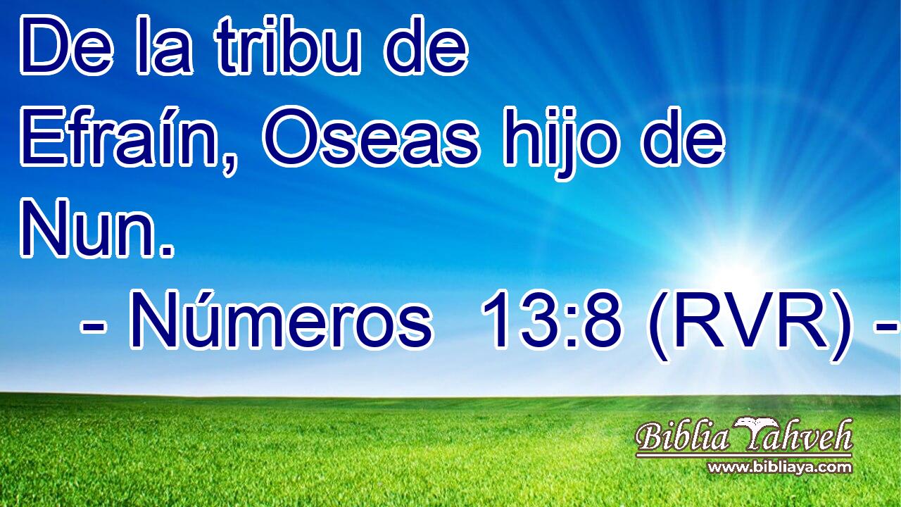 De la tribu de Efraín, Oseas hijo de Nun.