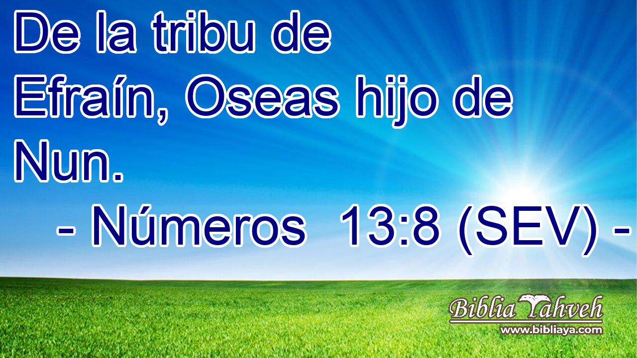 De la tribu de Efraín, Oseas hijo de Nun.