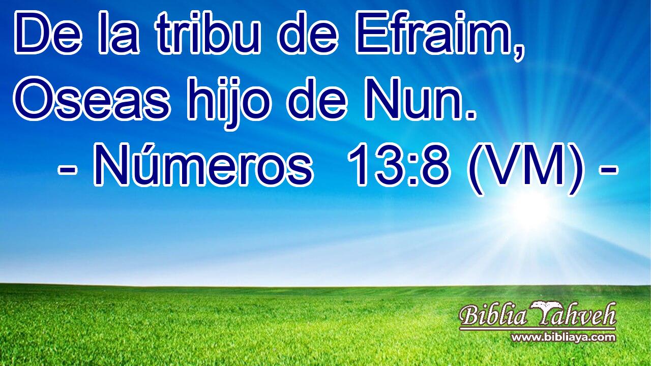  De la tribu de Efraim, Oseas hijo de Nun. 