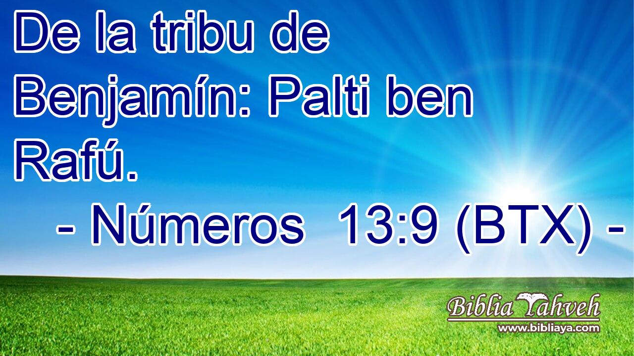 De la tribu de Benjamín: Palti ben Rafú.