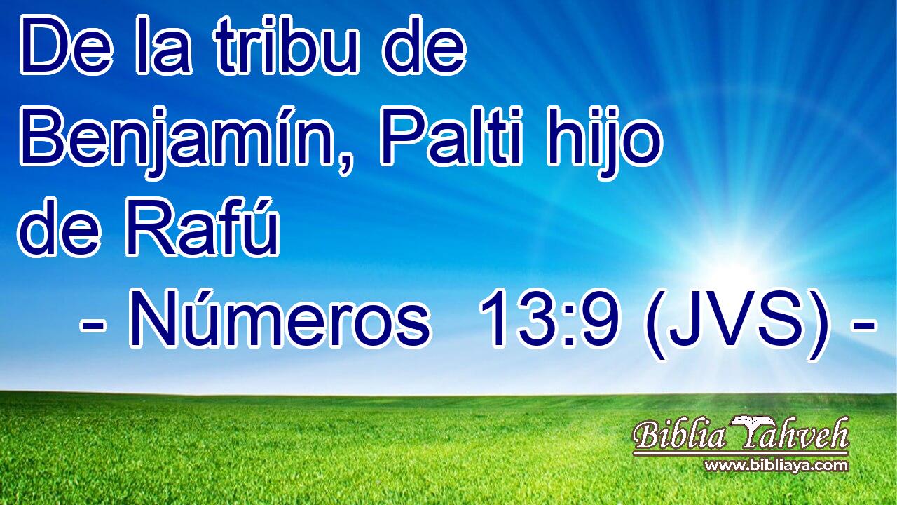 De la tribu de Benjamín, Palti hijo de Rafú