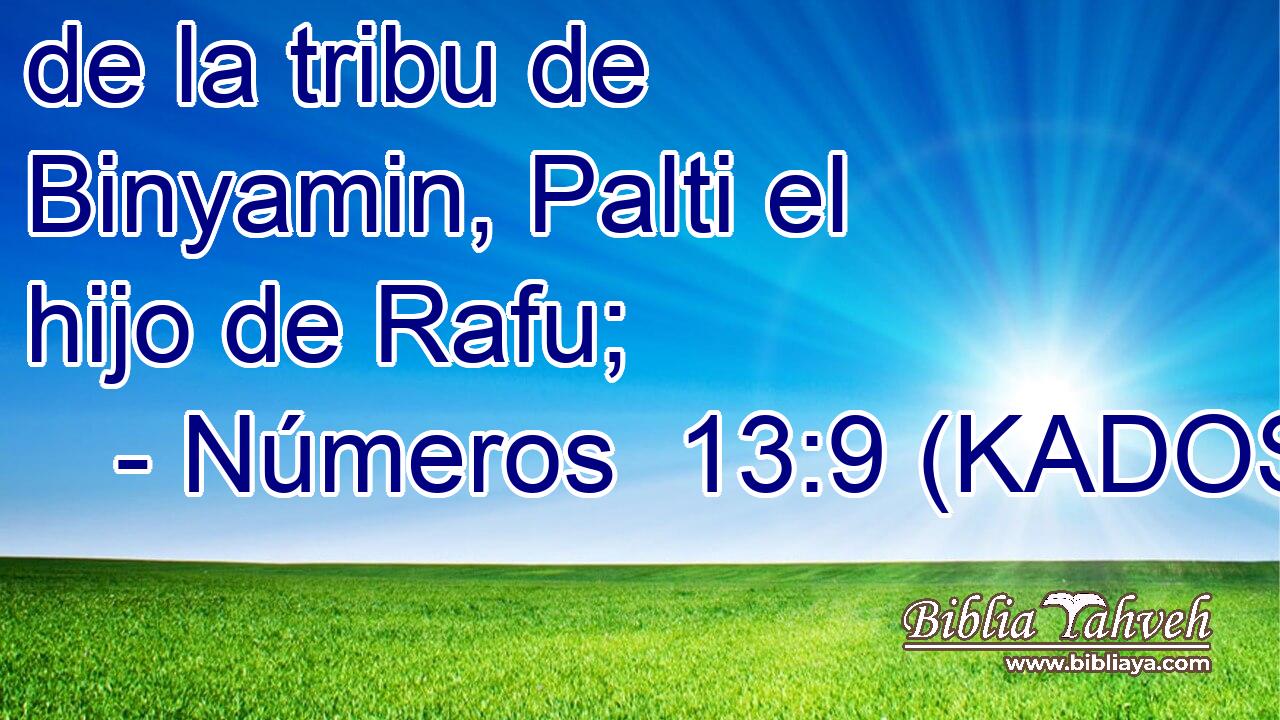  de la tribu de Binyamin, Palti el hijo de Rafu; 