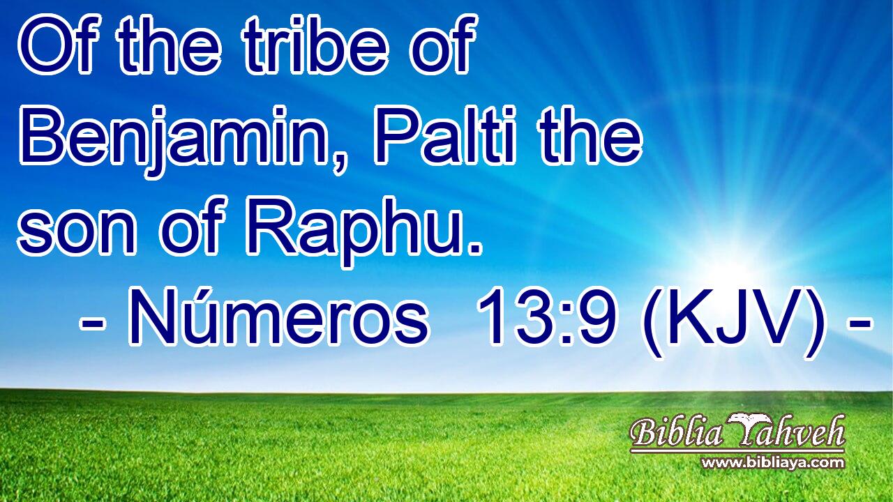 Of the tribe of Benjamin, Palti the son of Raphu.