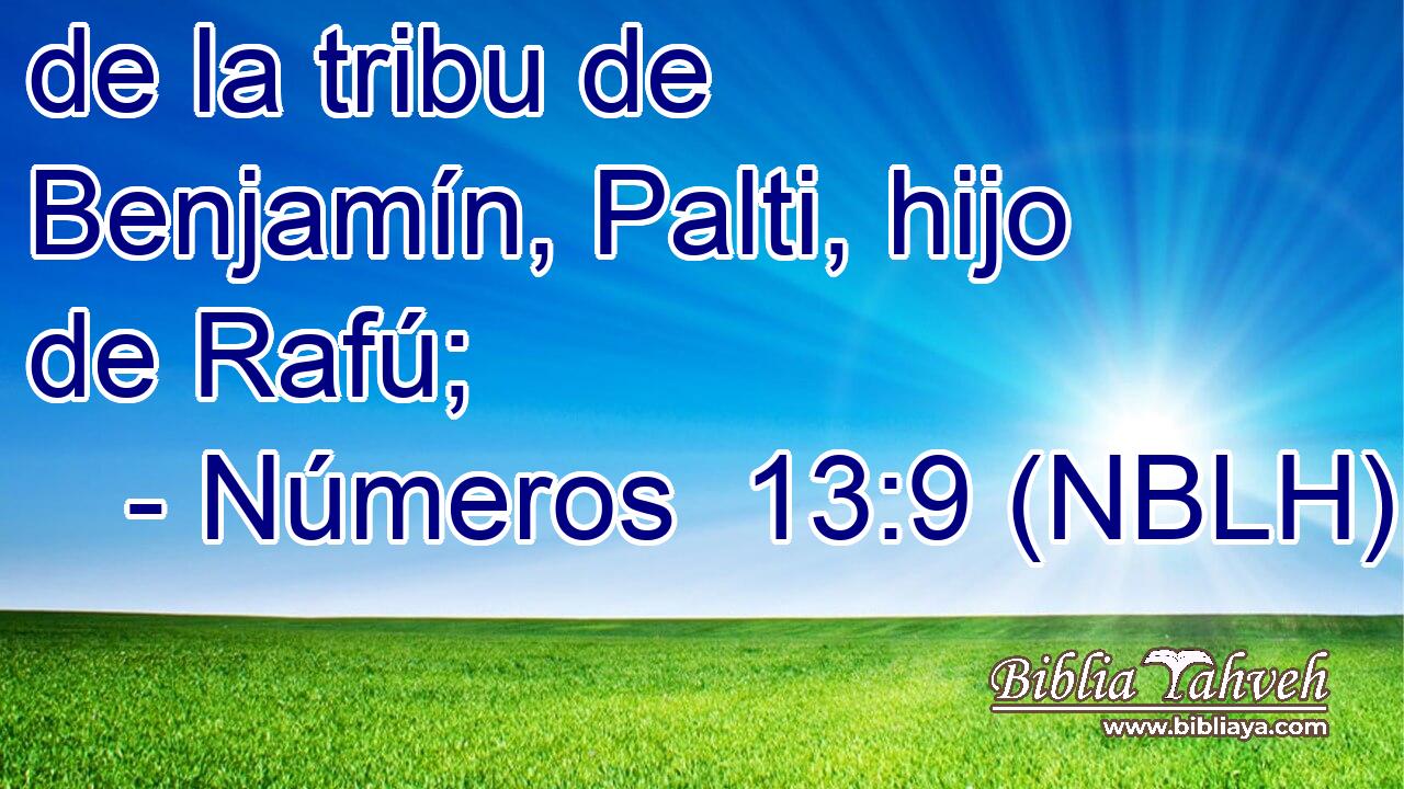  de la tribu de Benjamín, Palti, hijo de Rafú; 