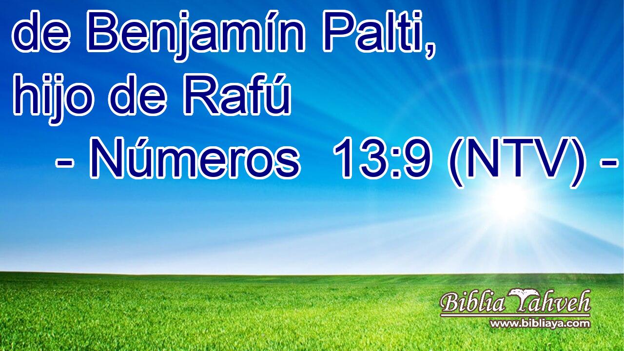 de Benjamín Palti, hijo de Rafú