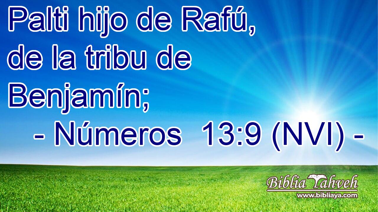  Palti hijo de Rafú, de la tribu de Benjamín; 