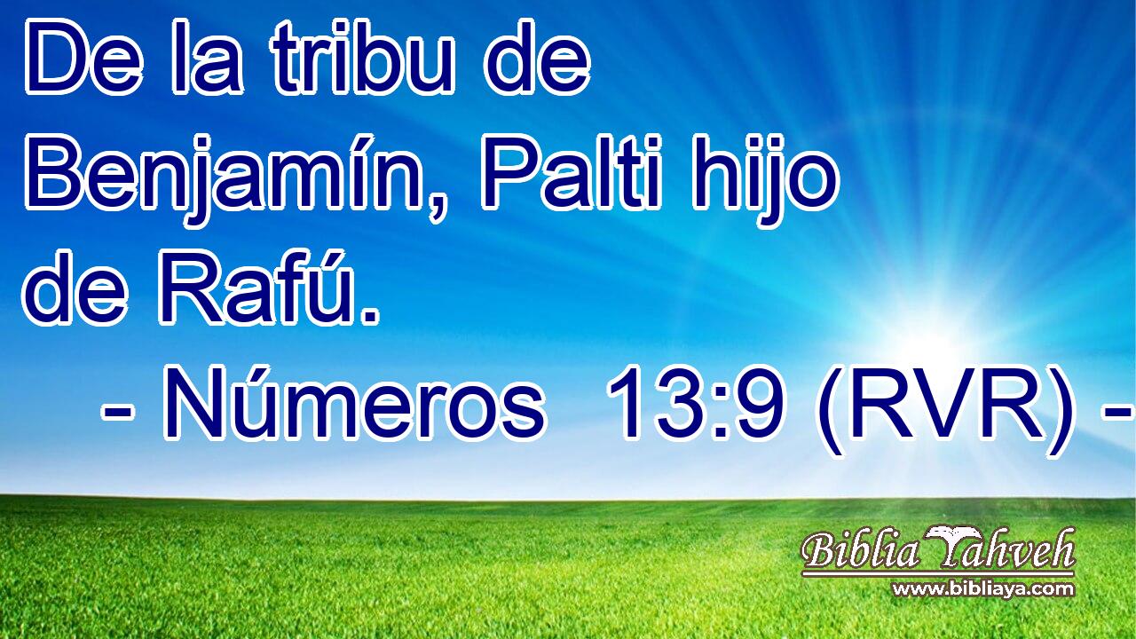 De la tribu de Benjamín, Palti hijo de Rafú.