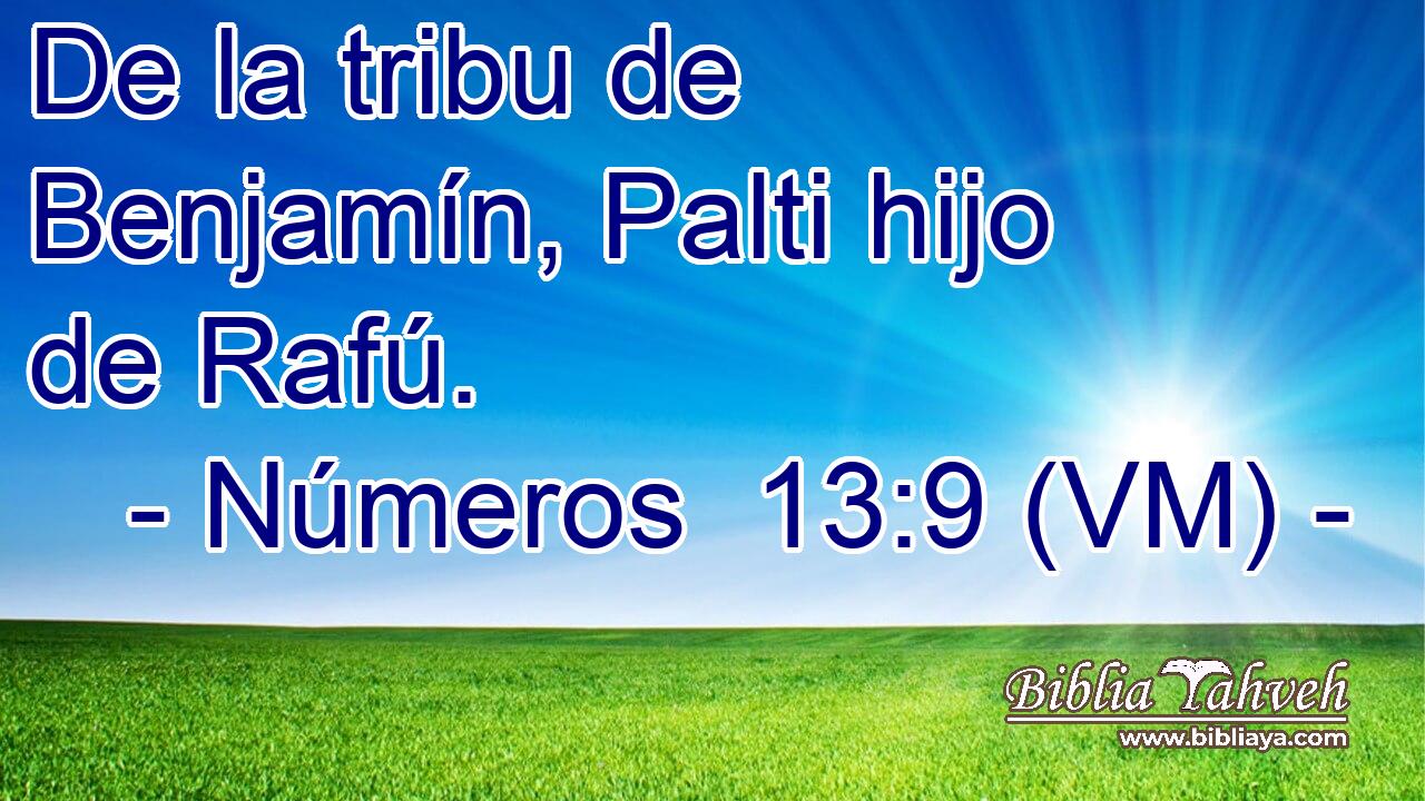  De la tribu de Benjamín, Palti hijo de Rafú. 