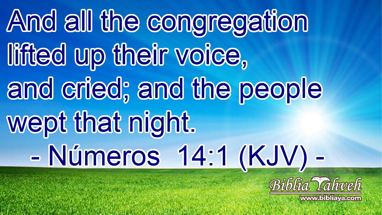 And all the congregation lifted up their voice, and cried; and the people wept that night.