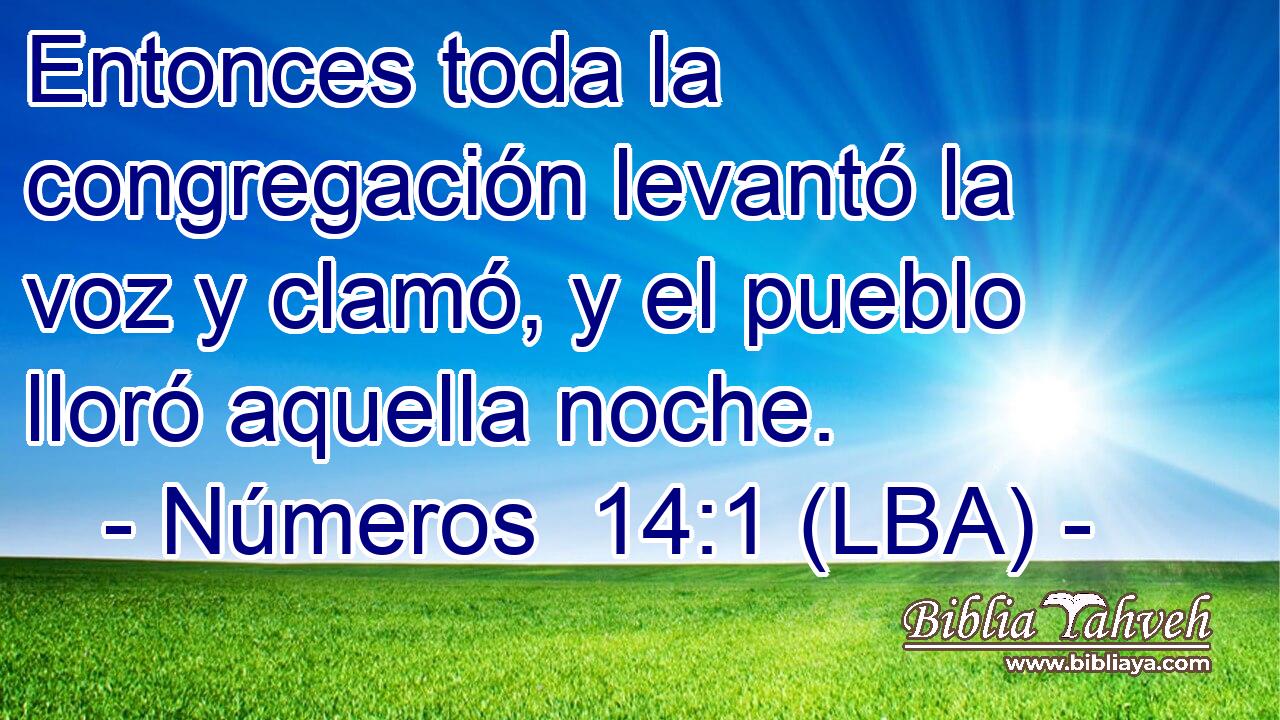 Entonces toda la congregación levantó la voz y clamó, y el pueblo lloró aquella noche.