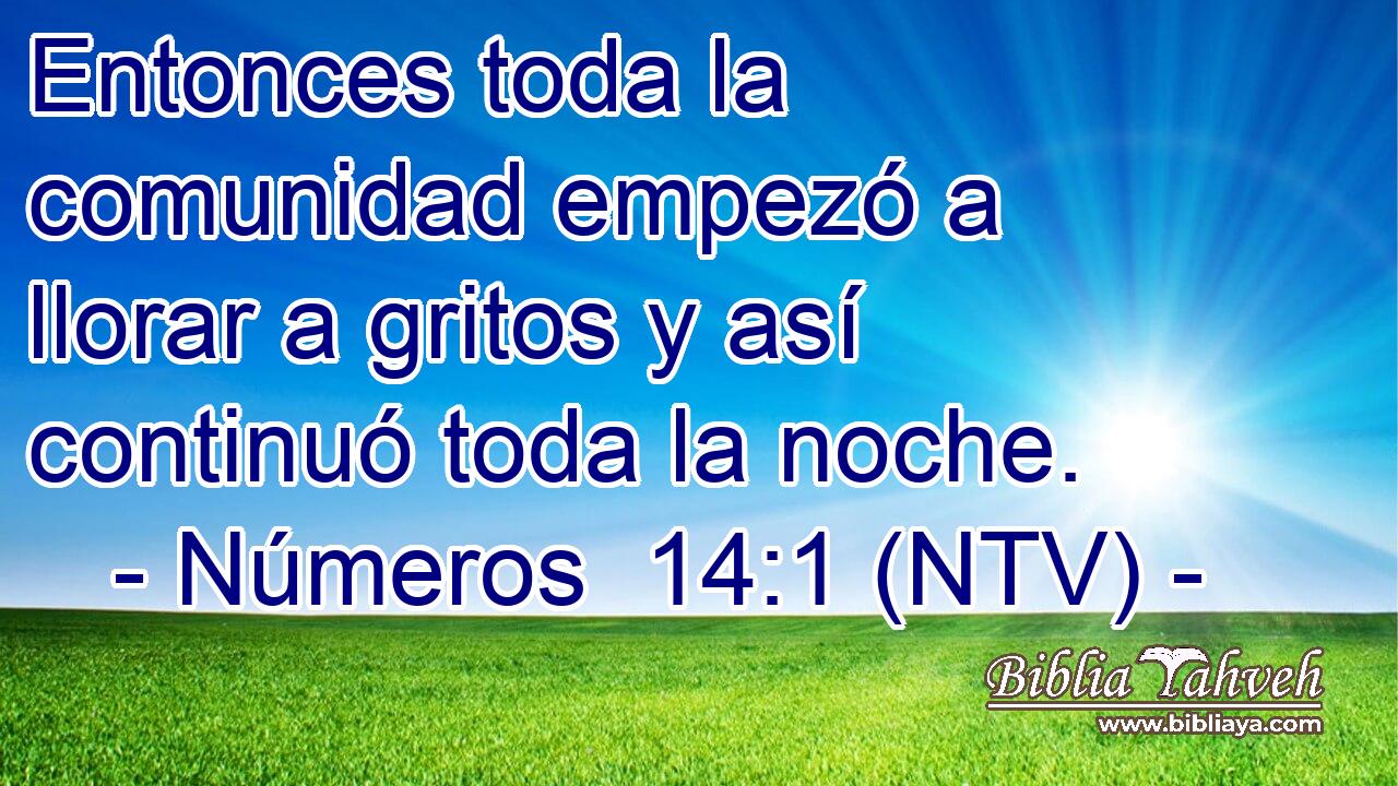 Entonces toda la comunidad empezó a llorar a gritos y así continuó toda la noche.