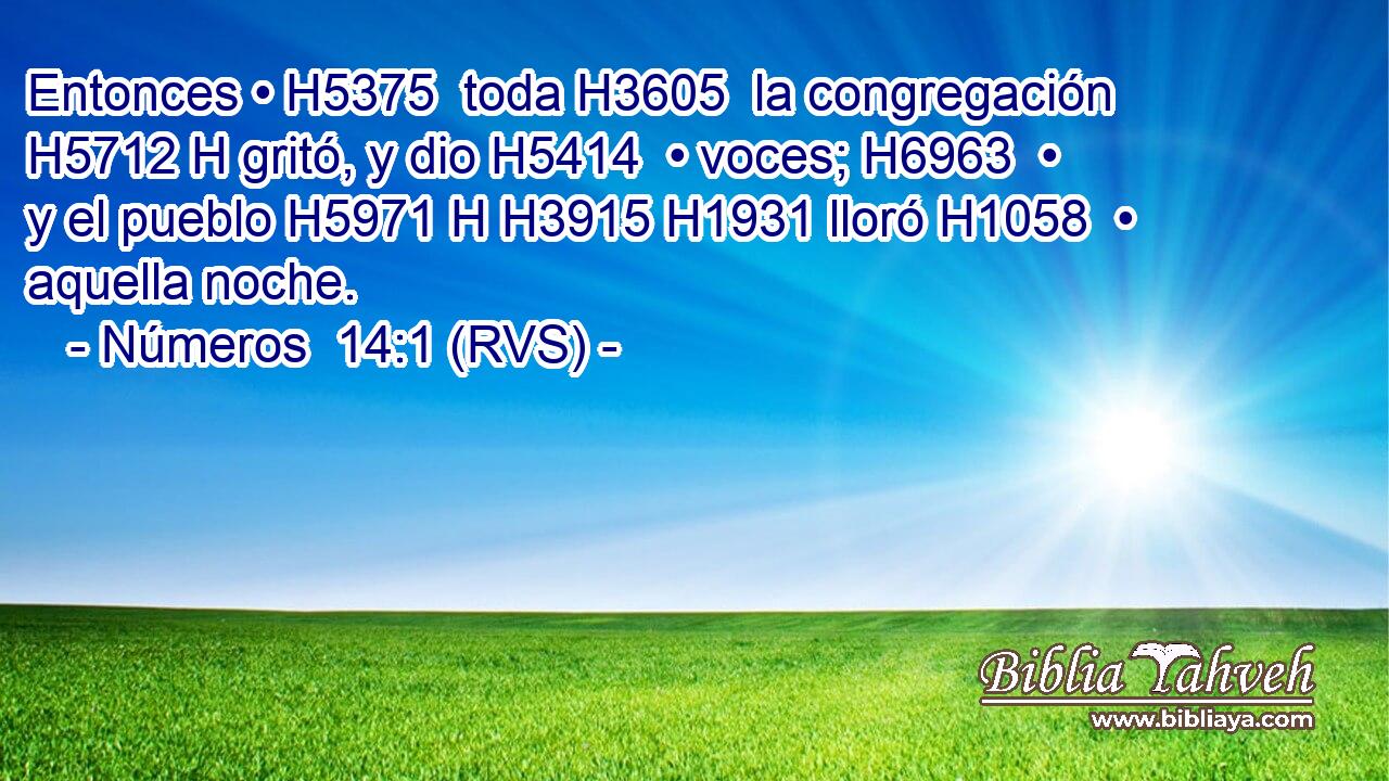 Entonces • H5375  toda H3605  la congregación H5712 H gritó, y dio H5414  • voces; H6963  • y el pueblo H5971 H H3915 H1931 lloró H1058  • aquella noche. 