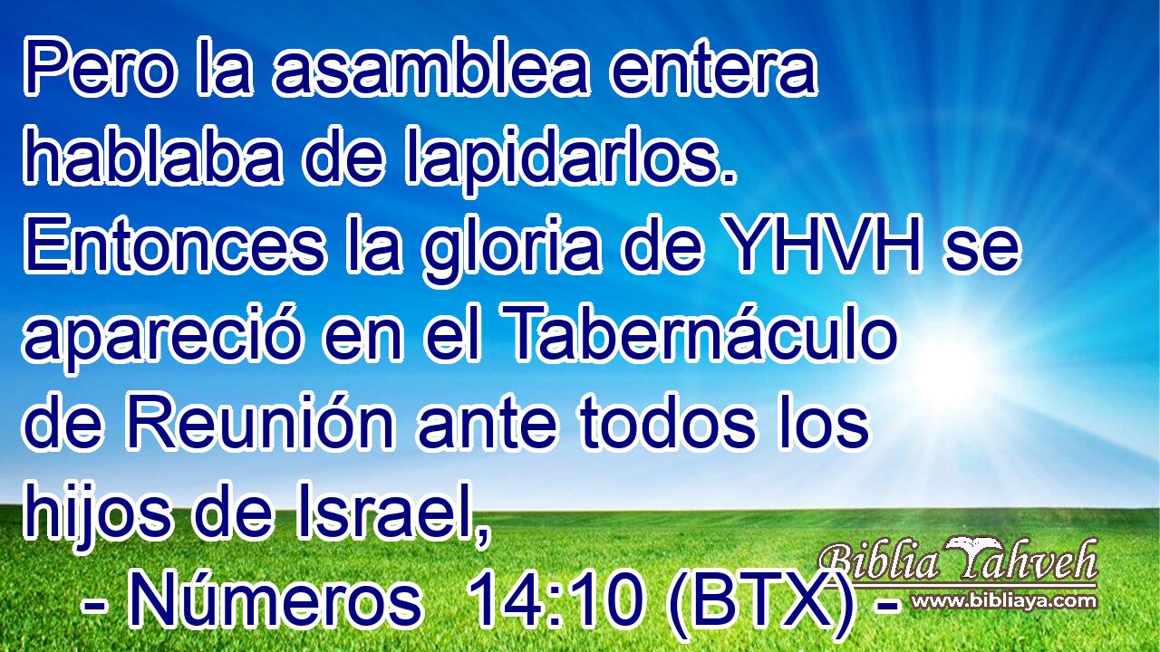 Pero la asamblea entera hablaba de lapidarlos. Entonces la gloria de YHVH se apareció en el Tabernáculo de Reunión ante todos los hijos de Israel,