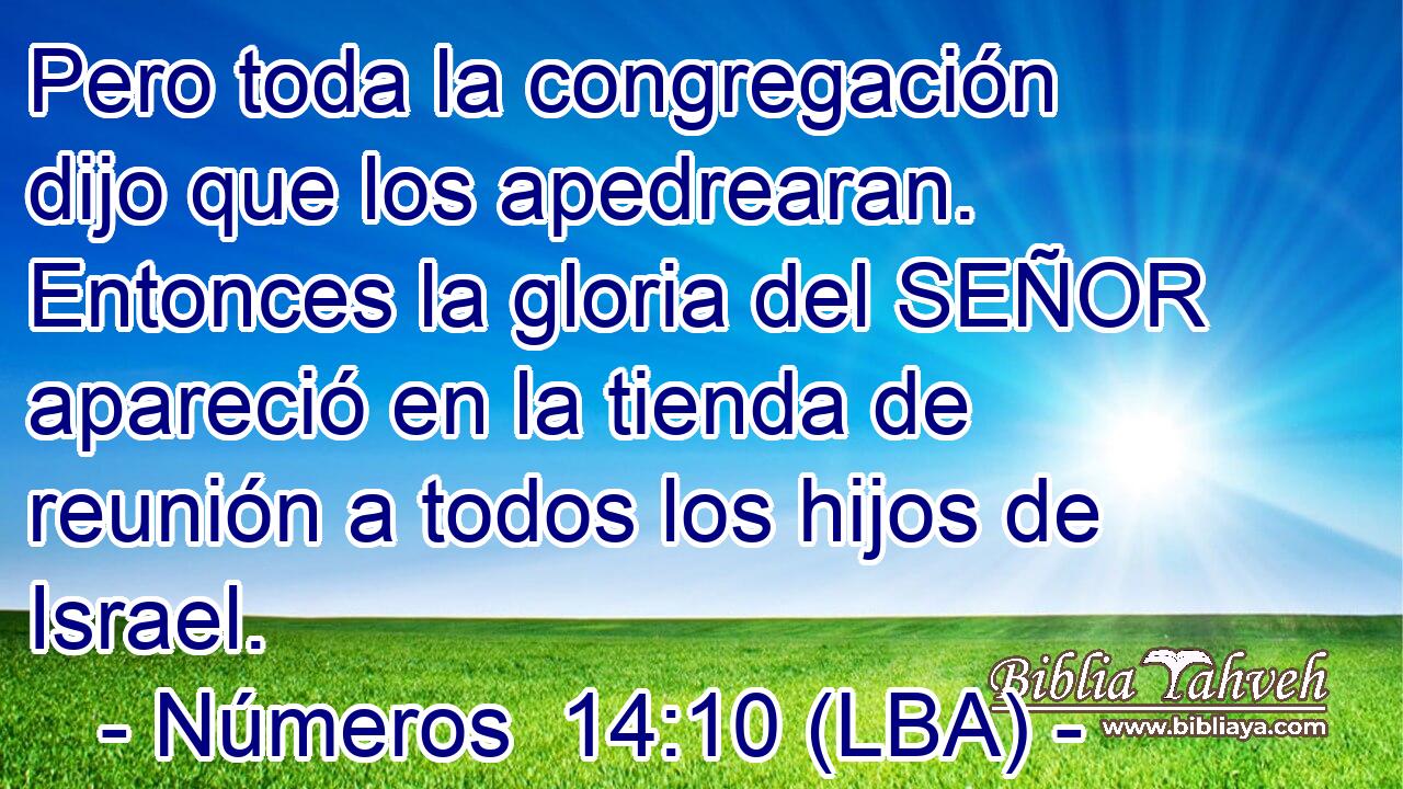 Pero toda la congregación dijo que los apedrearan. Entonces la gloria del SEÑOR apareció en la tienda de reunión a todos los hijos de Israel.