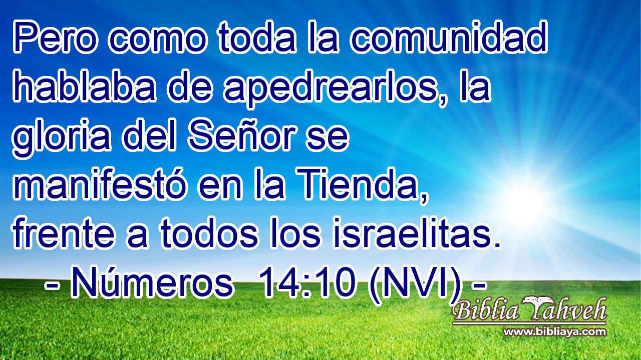  Pero como toda la comunidad hablaba de apedrearlos, la gloria del Señor se manifestó en la Tienda, frente a todos los israelitas. 