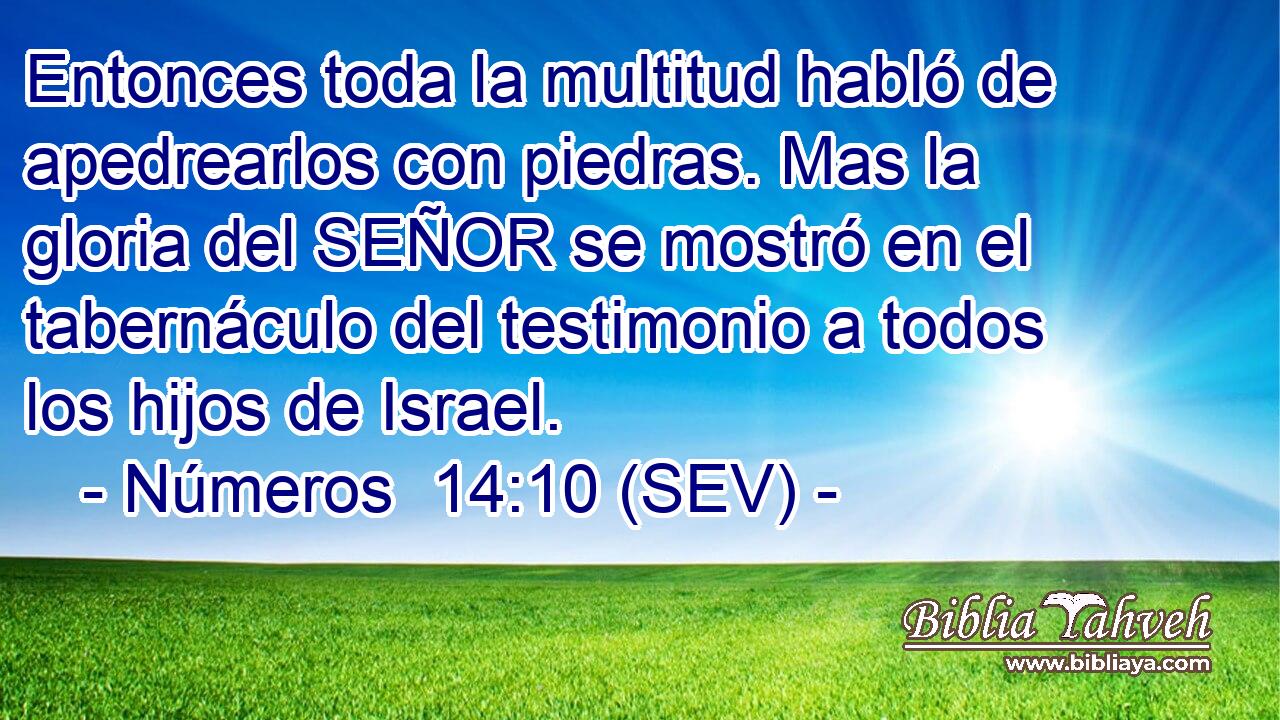 Entonces toda la multitud habló de apedrearlos con piedras. Mas la gloria del SEÑOR se mostró en el tabernáculo del testimonio a todos los hijos de Israel.