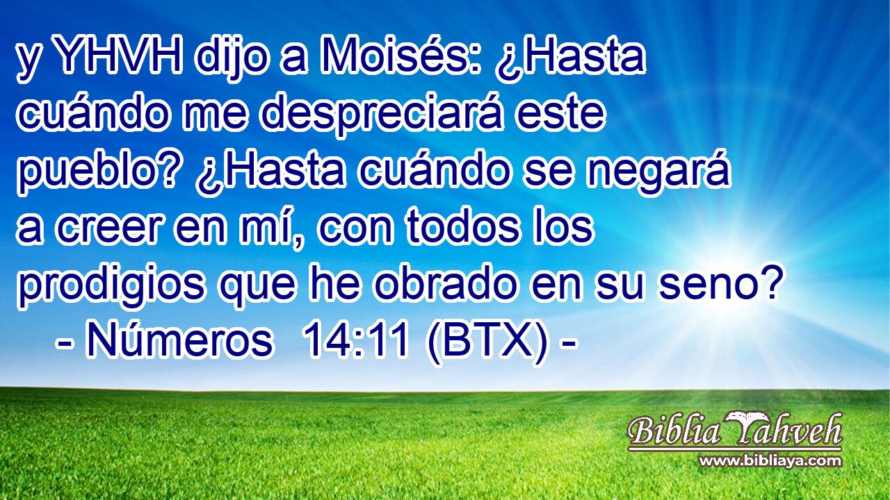 y YHVH dijo a Moisés: ¿Hasta cuándo me despreciará este pueblo? ¿Hasta cuándo se negará a creer en mí, con todos los prodigios que he obrado en su seno?