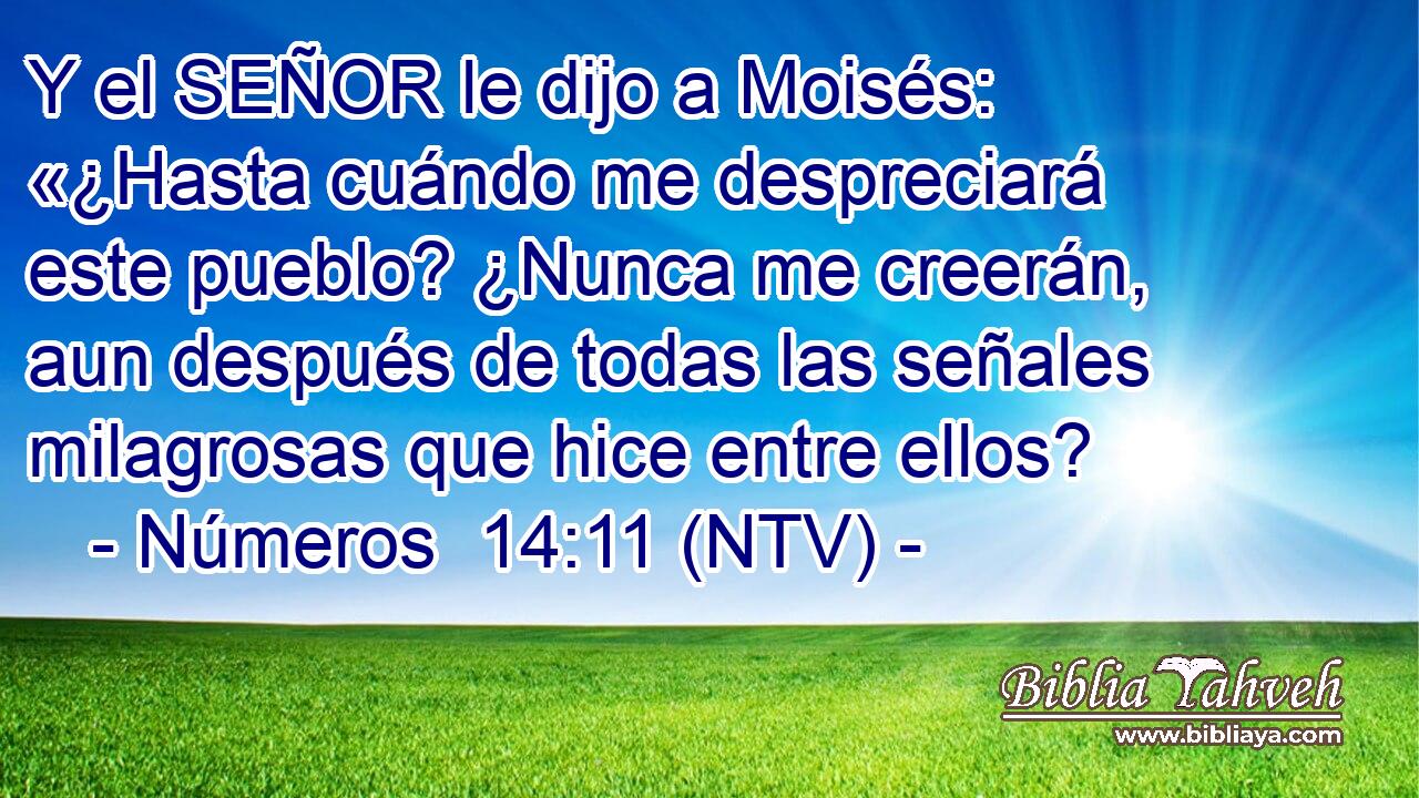 Y el SEÑOR le dijo a Moisés: «¿Hasta cuándo me despreciará este pueblo? ¿Nunca me creerán, aun después de todas las señales milagrosas que hice entre ellos?
