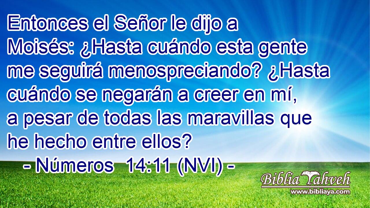  Entonces el Señor le dijo a Moisés: ¿Hasta cuándo esta gente me seguirá menospreciando? ¿Hasta cuándo se negarán a creer en mí, a pesar de todas las maravillas que he hecho entre ellos? 