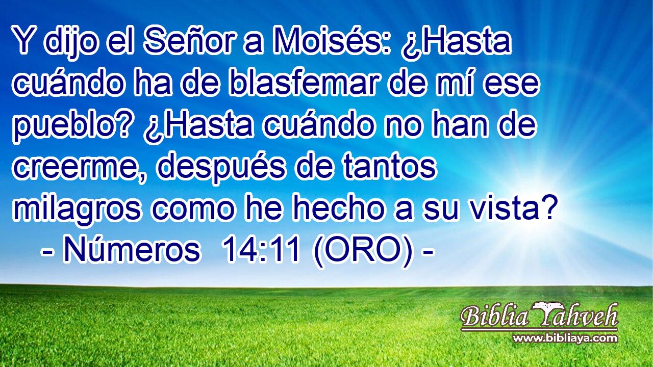  Y dijo el Señor a Moisés: ¿Hasta cuándo ha de blasfemar de mí ese pueblo? ¿Hasta cuándo no han de creerme, después de tantos milagros como he hecho a su vista? 