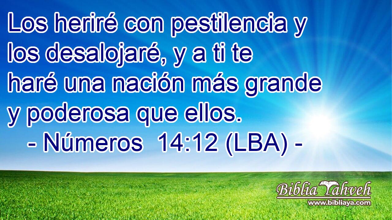Los heriré con pestilencia y los desalojaré, y a ti te haré una nación más grande y poderosa que ellos.
